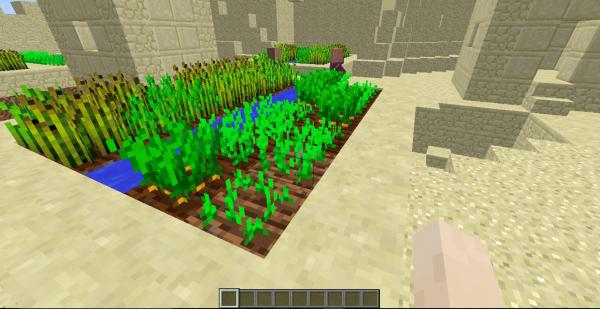 Como conseguir cenoura no Minecraft - Passo 3