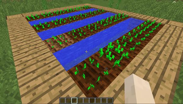 Como conseguir cenoura no Minecraft - Passo 6