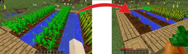 Como conseguir cenoura no Minecraft - Passo 7