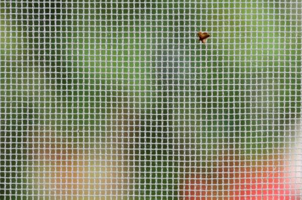 Como limpar telas mosquiteiras