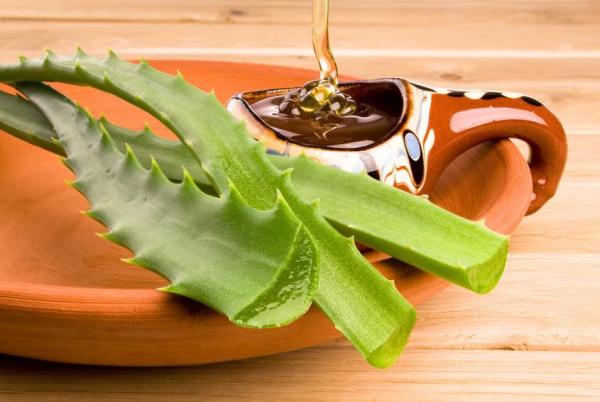 Como tomar aloe vera para a gastrite