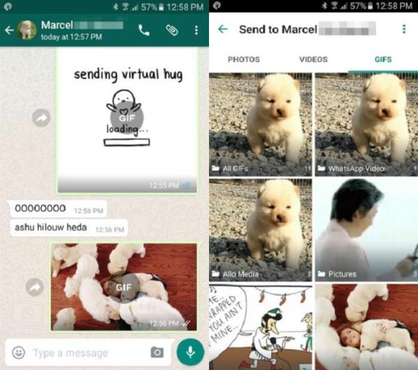 Como enviar um GIF no WhatsApp - Passo 3