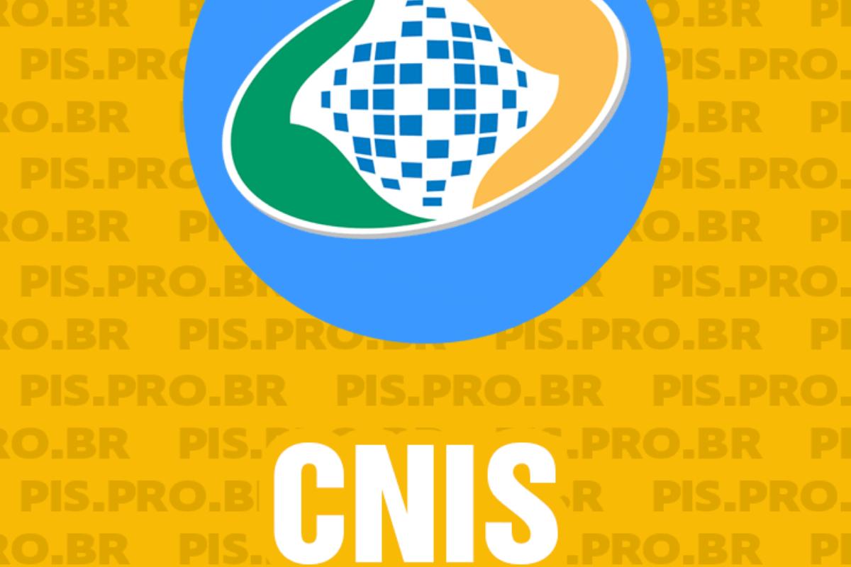 Como tirar CNIS pela Internet