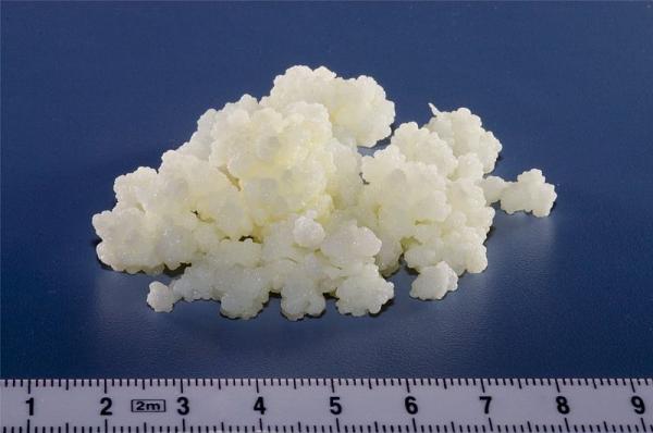 Como cuidar de kefir - todos os tipos