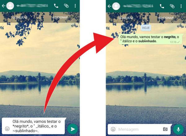 Como escrever em negrito e itálico no WhatsApp - Passo 1