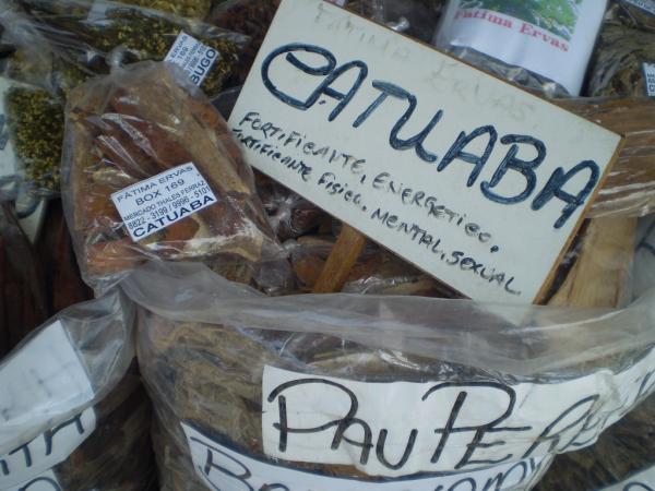 Catuaba: para que serve e como usar - Usando a Catuaba