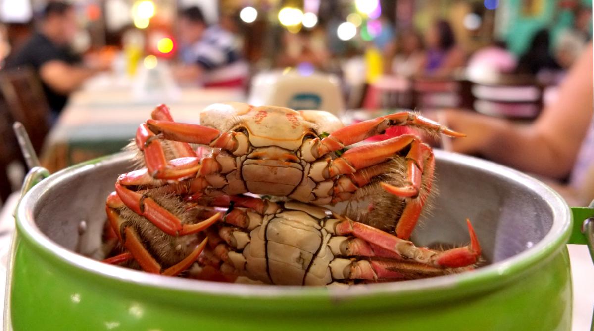 Como cozinhar caranguejo