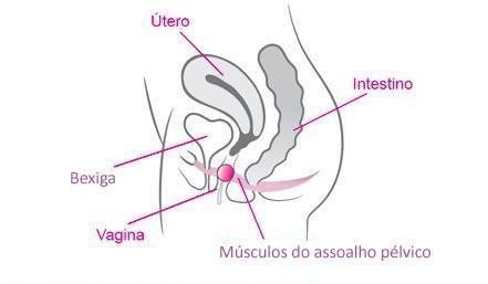 Exercícios de Kegel para mulheres - Passo 1