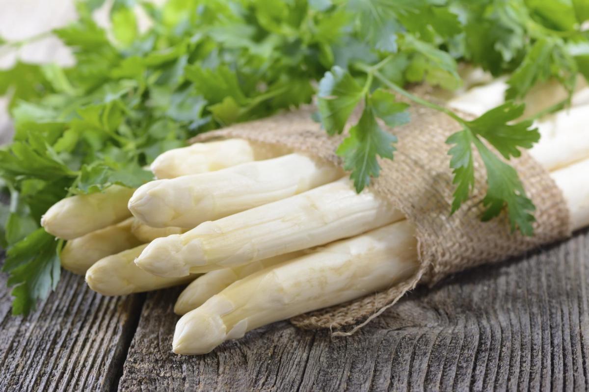 Como plantar aspargos