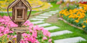 Quais são as melhores plantas para um jardim