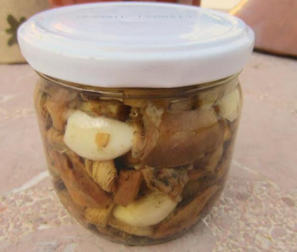 Como guardar cogumelos - Como guardar cogumelos: em seu suco