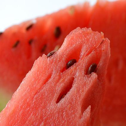 Que frutas meu hamster pode comer - Passo 3