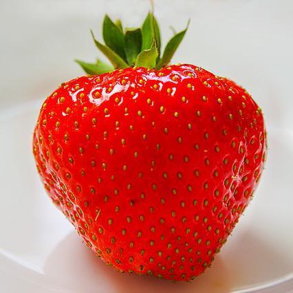 Que frutas meu hamster pode comer - Passo 4