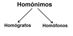 Diferenças entre homônimos, homógrafos e homófonos