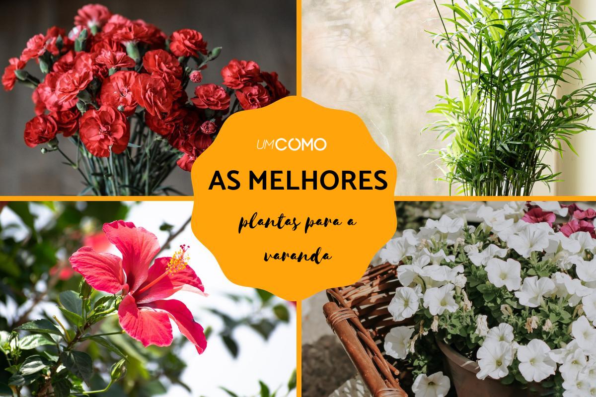 Plantas para varanda