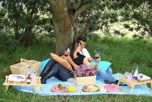 Como celebrar meu aniversário de casamento com pouco dinheiro - Piquenique romântico