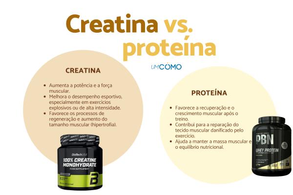 Diferença entre creatina e proteína: qual escolher?