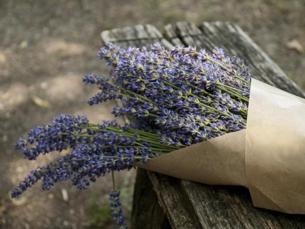 Como fazer ambientadores caseiros para armários - Ervas aromáticas para uma roupa com um cheiro melhor