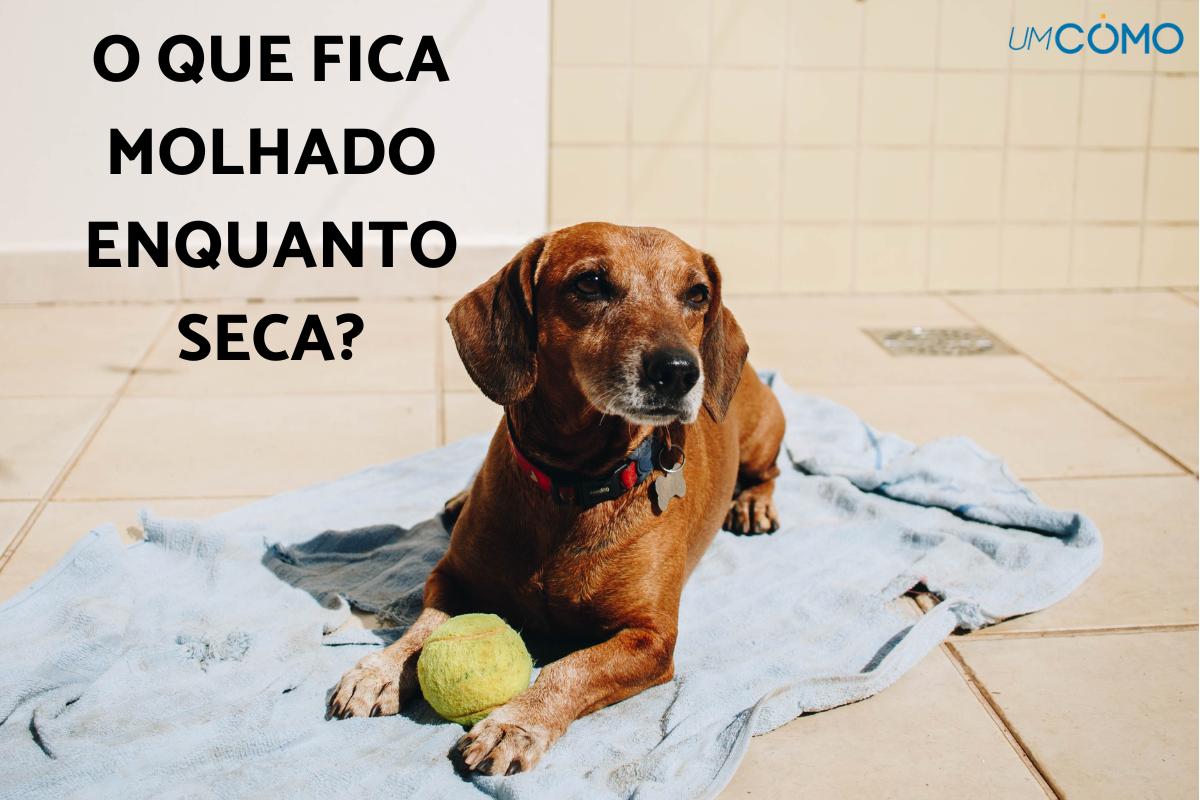 Charadas com respostas curtas