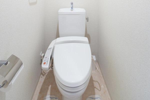 Curiosidades sobre o Japão que você deve conhecer - Os banheiros japoneses são uma experiência