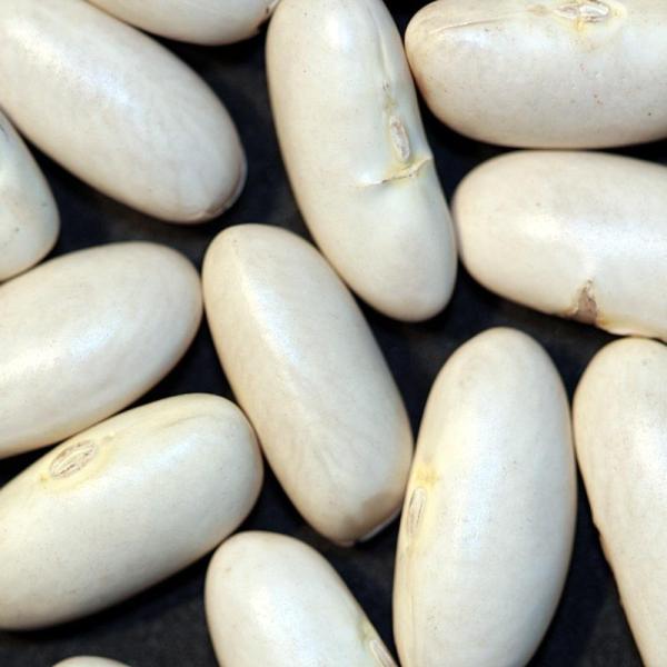 Como cozinhar os feijões secos