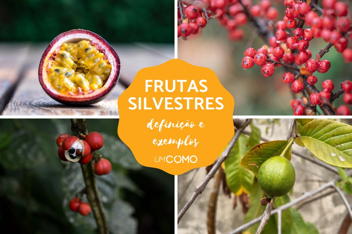 O que são frutas silvestres