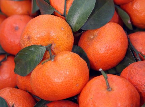 Como escolher tangerinas
