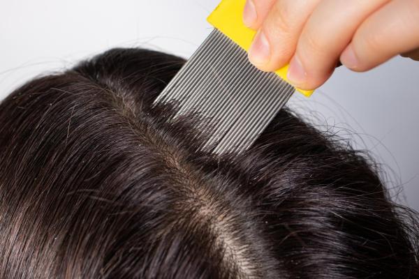 Como evitar piolhos - Pentear o cabelo com pente fino