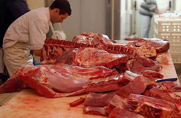 O que acontece se comer carne estragada? - Faz mal comer carne estragada?