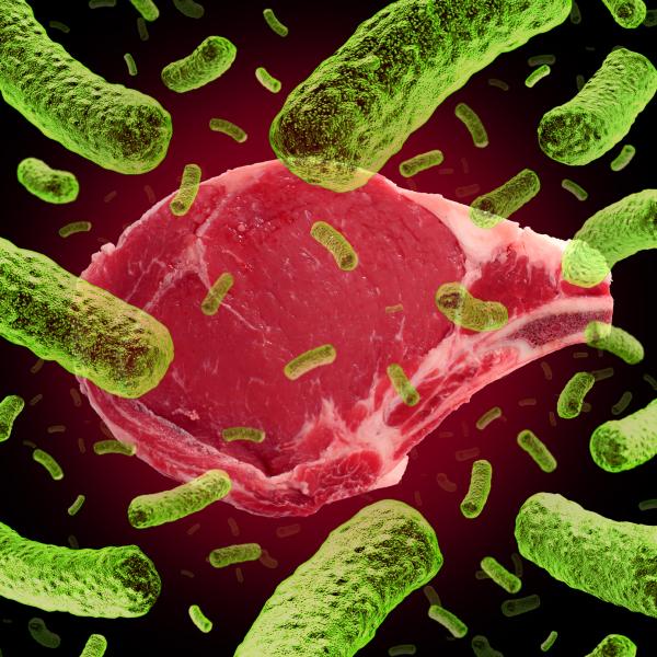 O que acontece se comer carne estragada?
