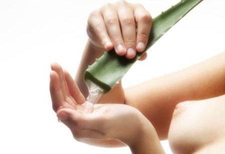 É possível curar o vitiligo com aloe? - Passo 1