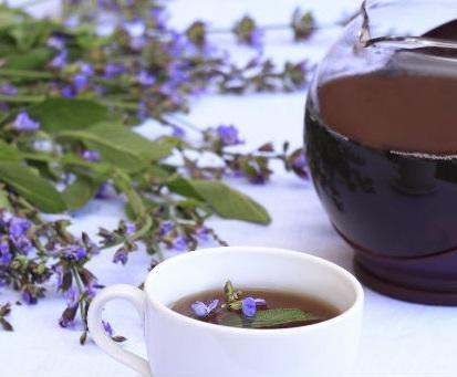 Quais são as infusões para limpar o fígado - Infusões para limpar o fígado: sálvia