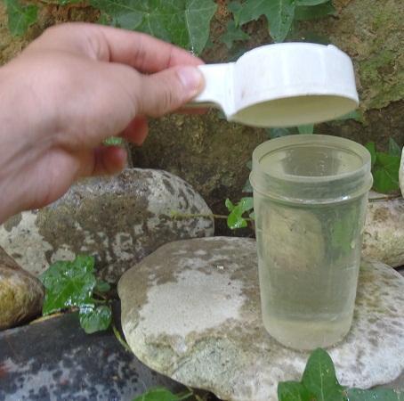 Como encher um bebedouro de pássaros - Passo 3