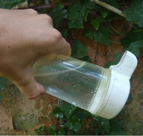 Como encher um bebedouro de pássaros - Passo 4