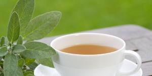 15 chás para descer menstruação atrasada (com receitas)