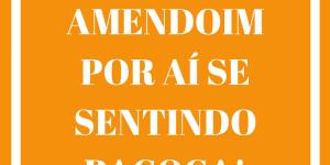 Frases de Festa Junina engraçadas - mural, plaquinhas e status