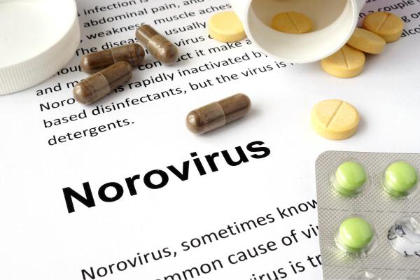 Norovírus: sintomas e tratamento - Norovírus: tratamento