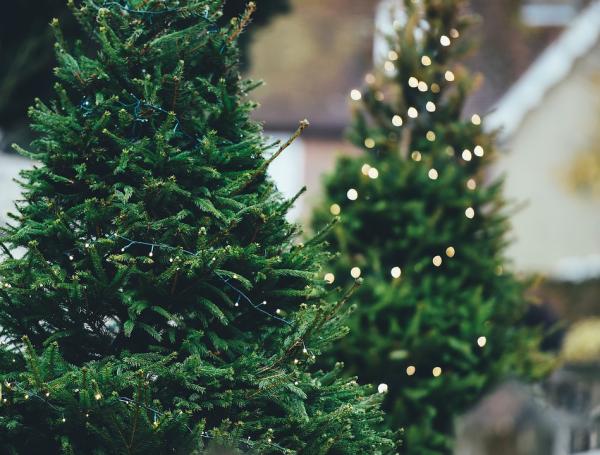 Como limpar árvore de natal - Passo 1