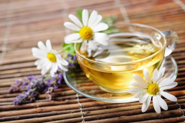 Quais são os ansiolíticos naturais - 10 opções poderosas - Camomila