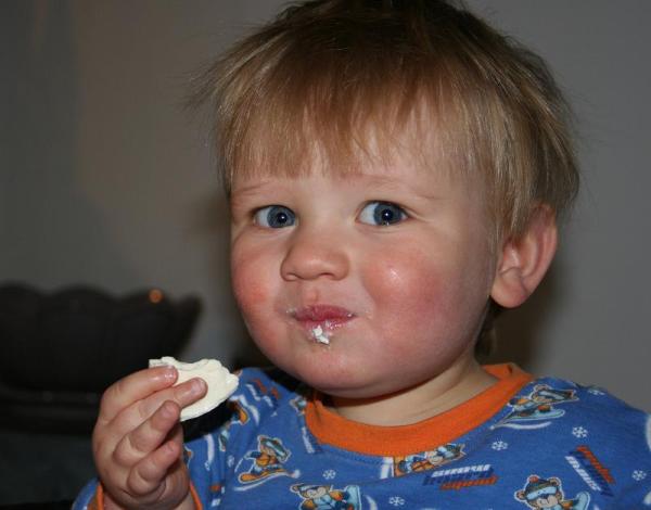 O que comer antes de ir para a escola
