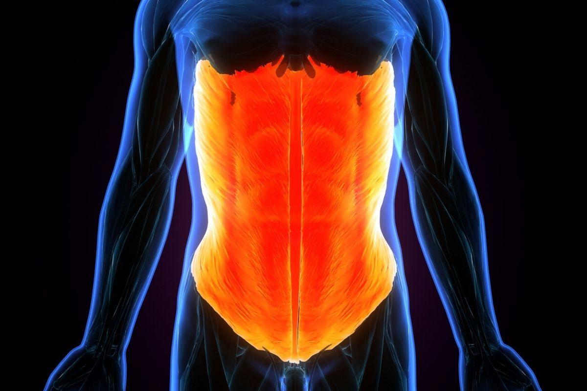 O que é o core e por que é importante fortalecê-lo