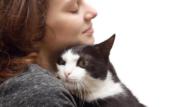 Por que os gatos levantam o lombo quando os acaricia - O que comunica um gato levantando o lombo quando o acaricia