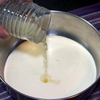 Como fazer queijo para untar caseiro - Passo 1