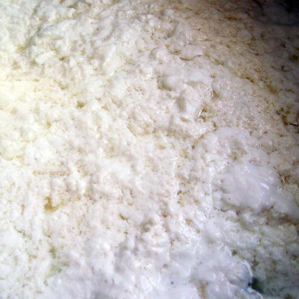 Como fazer queijo para untar caseiro - Passo 4