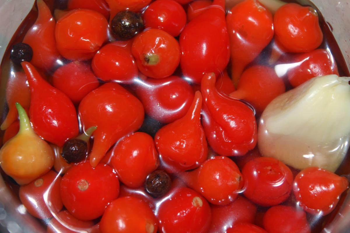 Como conservar pimenta biquinho
