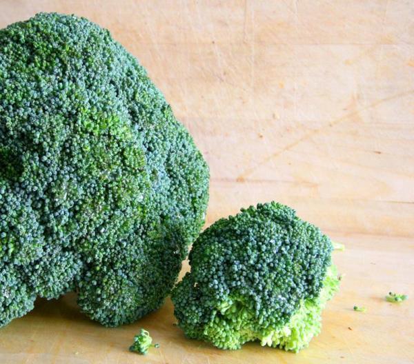 Como cultivar brócolis
