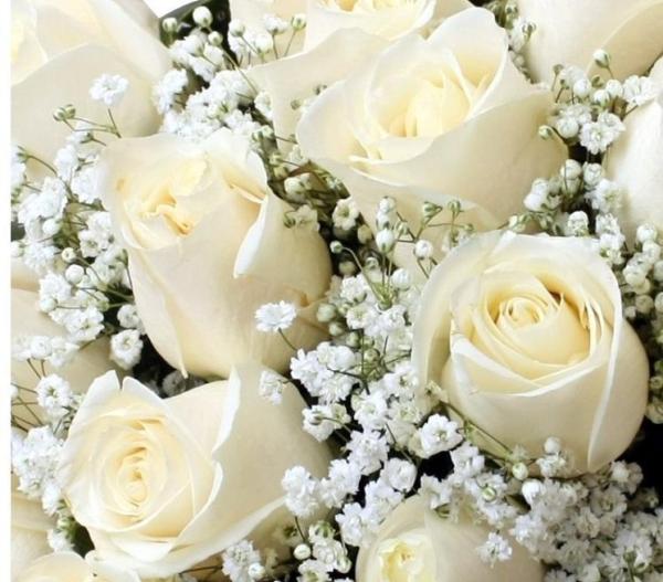 Qual é o significado das rosas brancas - Passo 1