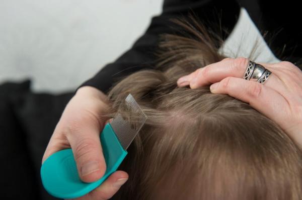 Como usar o óleo da árvore do chá para os piolhos - Passo 3