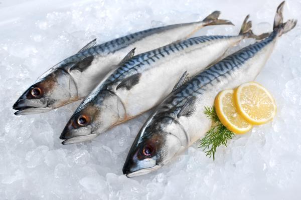Como descongelar o peixe