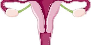 Corrimento rosado, o que pode ser? Causas e recomendações